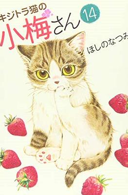 キジトラ猫の小梅さん 虎斑猫小梅 (Kijitora Neko no Koume-san) #14
