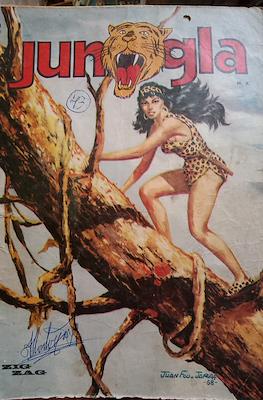 Jungla #43