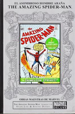 Marvel Deluxe (2011-2022) Obras Maestras de Marvel: The Amazing Spider-Man