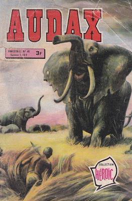 Audax #40