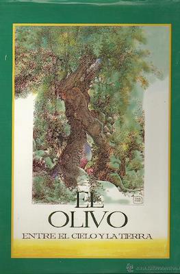 El olivo. Entre el cielo y la tierra