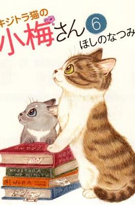 キジトラ猫の小梅さん 虎斑猫小梅 (Kijitora Neko no Koume-san) #6