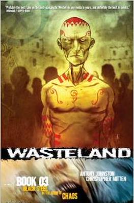 Wasteland #3