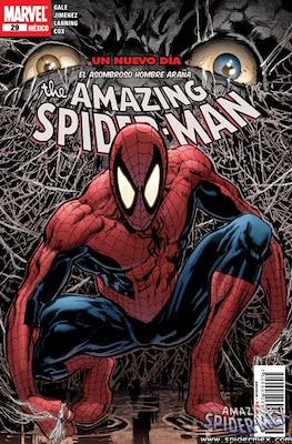 The Amazing Spider-Man (Grapa) #29