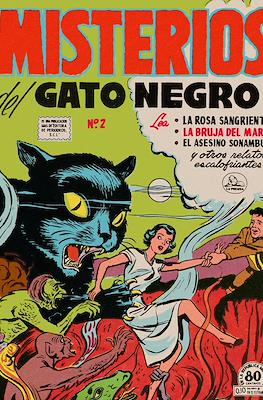 Misterios del gato negro #2