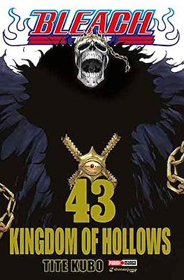 Bleach (Rústica) #43