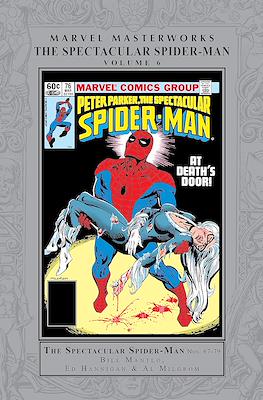 Marvel Masterworks: Spectacular Spider-Man #6