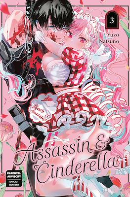 Assassin & Cinderella #3