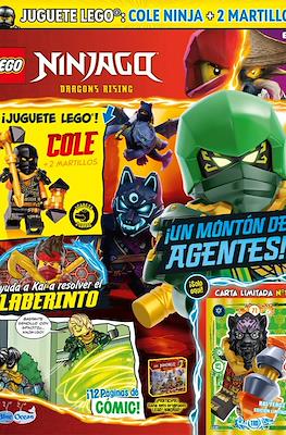 Lego Ninjago #66