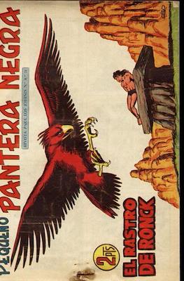 Pantera Negra / Pequeño Pantera Negra #243