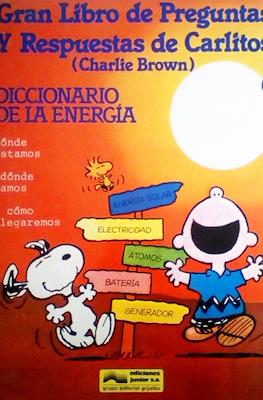 Gran libro de preguntas y respuestas de Carlitos (Charlie Brown) #6