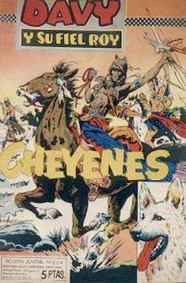Rin-tin-tin / Davy y su fiel Roy #294