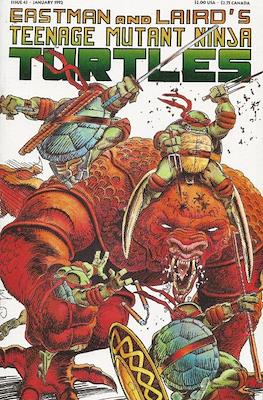 Teenage Mutant Ninja Turtles Vol.1 #43