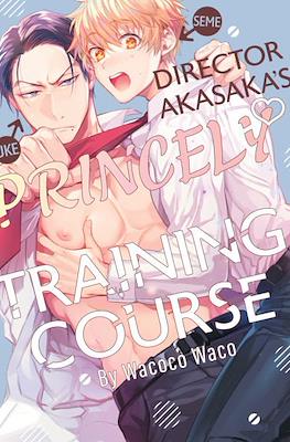 Mr. Akasaka's Prince Boy Training Plan