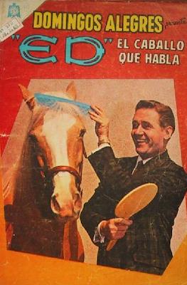 Domingos Alegres #570