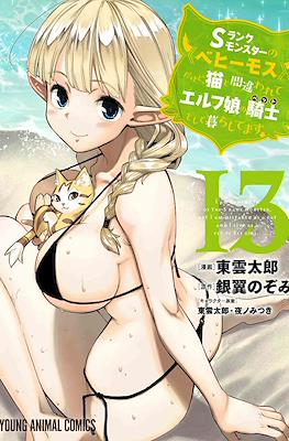 Sランクモンスターの《ベヒーモス》だけど、猫と間違われてエルフ娘の騎士として暮らしてます(S-Rank Monster no "Behemoth" dakedo, Neko to Machigawarete Elf Musume no Pet toshite Kurashitemasu) #13