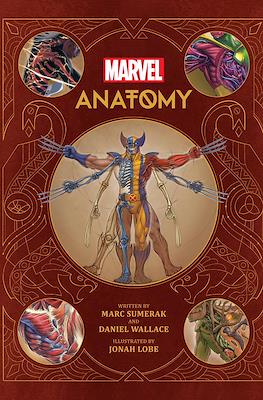 Marvel Anatomy