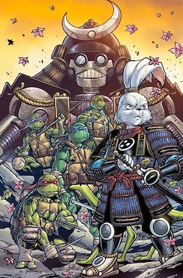 Teenage Mutant Ninja Turtles/Usagi Yojimbo - Wherewhen (Variant Covers) #1.14