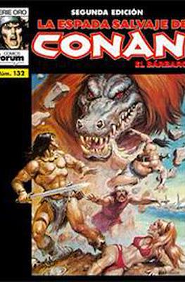 La Espada Salvaje de Conan Vol. 1. 2ª edición #132