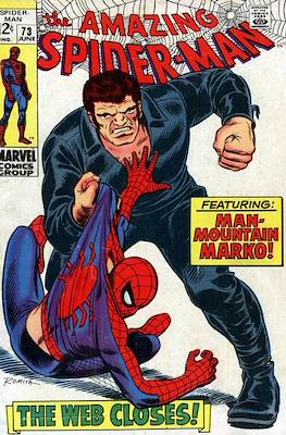 The Amazing Spider-Man Vol. 1 (1963-1998) #73