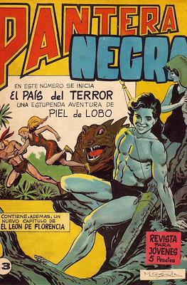 Pantera Negra #13
