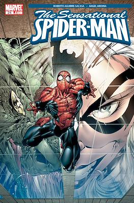 Marvel Knights: Spider-Man Vol. 1 (2004-2006) / The Sensational Spider-Man Vol. 2 (2006-2007) (Comic Book 32-48 pp) #24