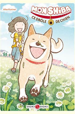 Mon Shiba, ce drôle de chien