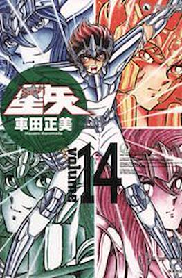 聖闘士星矢 完全版 (Saint Seiya) #14
