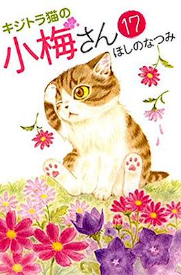 キジトラ猫の小梅さん 虎斑猫小梅 (Kijitora Neko no Koume-san) #17