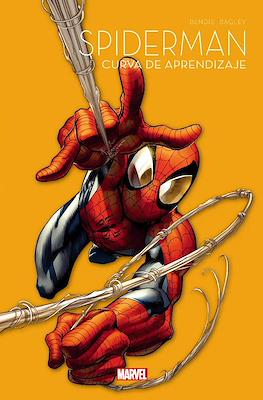 Spiderman 60 Aniversario #7