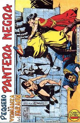Pantera Negra / Pequeño Pantera Negra #167