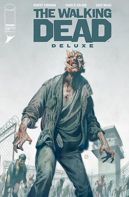 The Walking Dead Deluxe (Variant Cover) #34.3