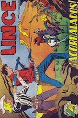Lince #16