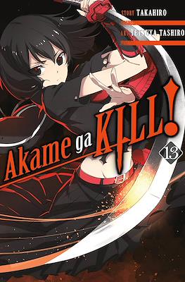 Akame ga Kill! #13