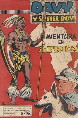 Rin-tin-tin / Davy y su fiel Roy #300
