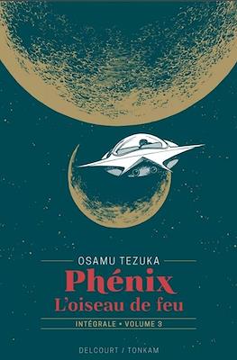 Phénix - L'oiseau de feu #3