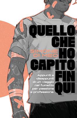 Quello che ho capito fin qui: Appunti e disappunti di un viaggio nel fumetto per passione e professione