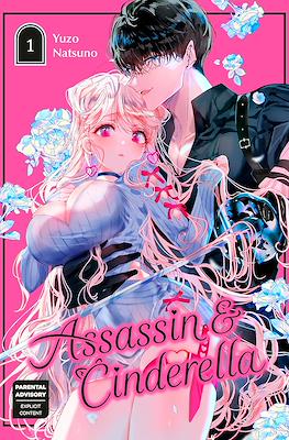 Assassin & Cinderella