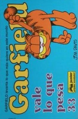 Garfield (Rústica) #33