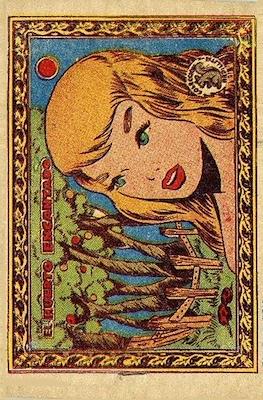 Colección Ardillita #683