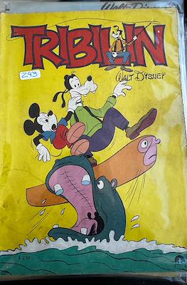 Tribilín #243