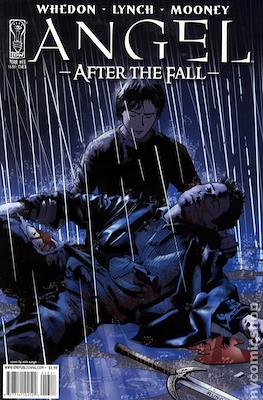 Angel After the Fall (2007-2009 Variant Cover) #13