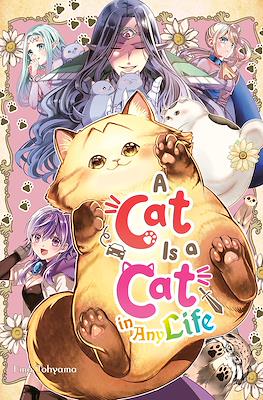 A Cat Is a Cat in Any Life