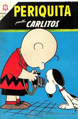 Periquita #51