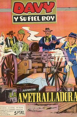 Rin-tin-tin / Davy y su fiel Roy #309