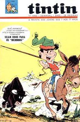 Tintin (1º Ano) #7