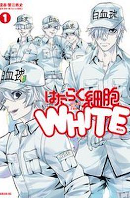 はたらく細胞! White (Hataraku Saibō! White)