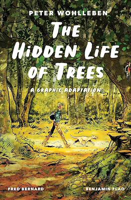 The Hidden Life of Trees: A Graphic Adaptation
