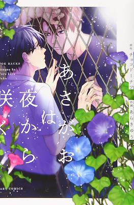 あさがおは夜から咲く Poe Backs (Asagao wa Yoru kara Saku)