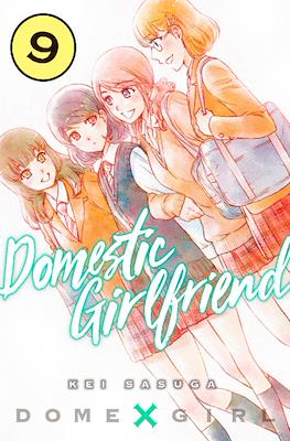 Domestic Girlfriend, Volume 28